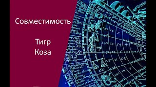 Совместимость Тигр и Коза по гороскопу для мужчины, женщины: характер, судьба, семья, бизнес