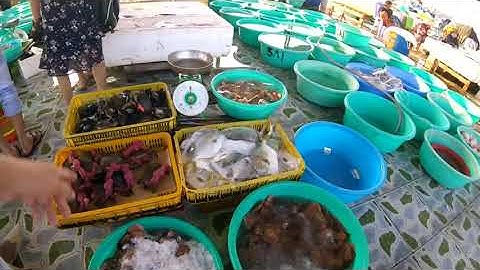 Đường Xuống Cảng Cá Vĩnh Lương Nơi Bán Hải Sản Tươi Và Rẻ Ở Nha Trang