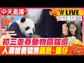 【中天直播#LIVE】初三走春動物園貓纜 人潮搶看貓熊圓寶、圓仔 20240212 @CtiNews