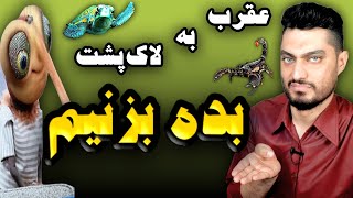 نیش عقرب نه از ره کین است | داستان ضرب المثل نیش عقرب نه از ره کین است | عقرب به لاک پشت : بده بزنیم