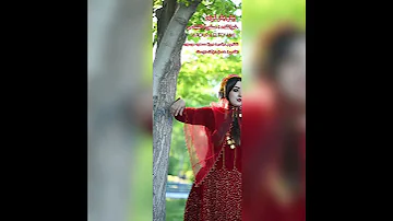 یاریار لری از صفورا التیامی 