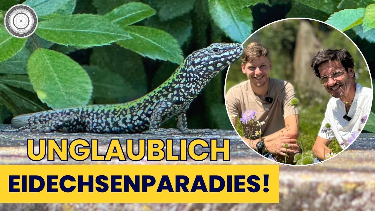 Zu Besuch beim Eidechsenflüsterer!
