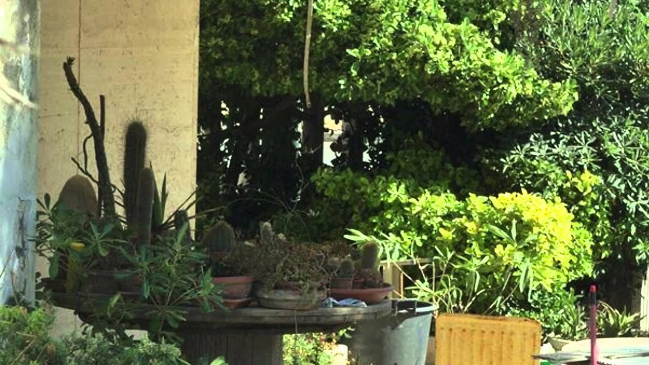 La mia Ostia presenta "La storia di Ostia". Puntata n.11: le Palazzine di Adalberto Libera