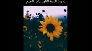 سورة ق بصوت الشيخ القارء رياض التميمي