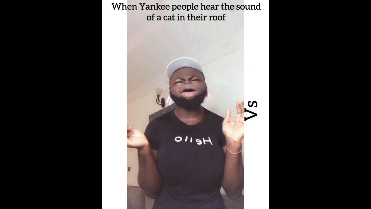 HOW AMERICANS REACT TO A CAT IN THEIR ROOF  VS HOW NIGERIANS WILL.