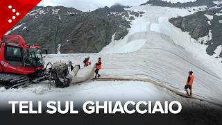Ghiacciaio Presena ricoperto con teli nei mesi estivi: "Non possiamo salvarlo, ma limitiamo i danni"