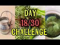 part 2 u r in vacation BUT missing ur kids | Full Zaiqat | Vlogging challenge | SHUQ EP 23 #vlog #dm