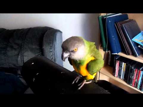 YouTube video