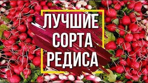 Лучшие сорта редиса 👍 Семена от фирмы Гавриш 🌱Обзор семян редиса