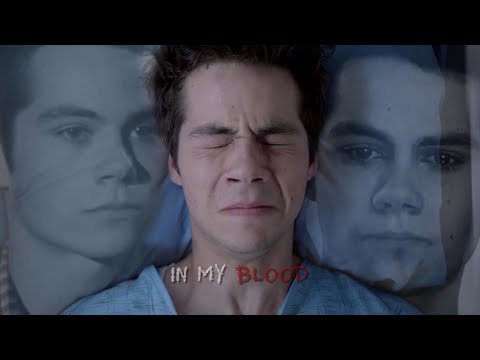 Stiles Stilinski – In My Blood by Shawn Mendes