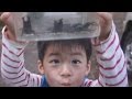 ノコギリクワガタ採集は午後の明るい時間帯が狙い目です　Japanese Sawtoothed stag beetle