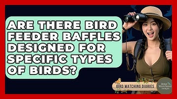 Are There Bird Feeder Baffles Designed For Specific Types Of Birds? - Bird Watching Diaries