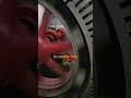 Where Does The Power Go #engineering #powerplant #comedy #education #power #science #chrisboden