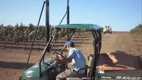 vineyard NDVI mapping 2008