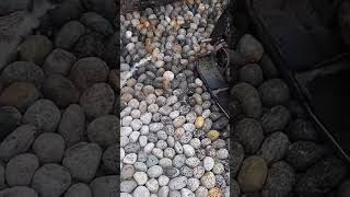 Natural Stone Compacting Process Using Cool Tools #shorts #stone