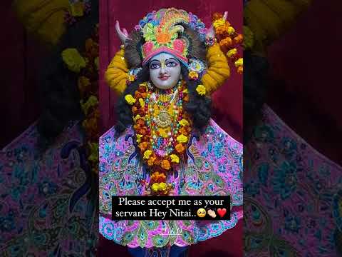Singing for the Love of my life ~Gaur Nitai 🙏🏻