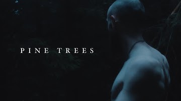 Lawriii Craic - Pine Trees ( Official Video )