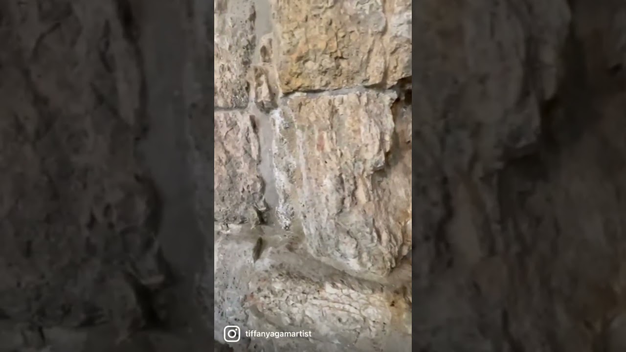 The place it all started… coming soon. #jerusalem #oldcity #spirituality #architecture