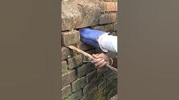 Snake Rescue operation