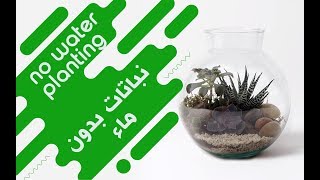 make your terrarium | الزراعة داخل اناء زجاجي