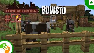 4 filmoj de Joleŝo Ludas