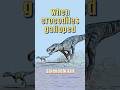 WHEN CROCODILES GALLOPED