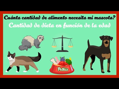 Cantidad ideal de alimento para tu perro, gato o hurón