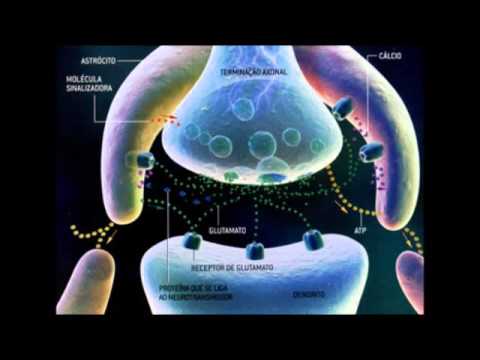 ტვინზე და ნერვებზე