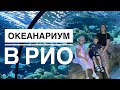 СУПЕР ВТОРНИК В ОКЕАНАРИУМЕ РИО