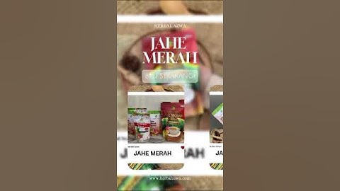 jahe merah instan jahe merah instan tanpa gula minuman jahe merah instan manfaat jahe merah instan