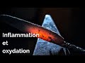 Oxydation et inflammation eau alcaline ionise antioxydantemicrostructure