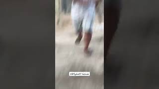 اسو يضحك على علول ويبوك الطيور??