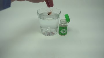 QUICK TIP - Keep Your Flies Floating - Dry Shake Liquid