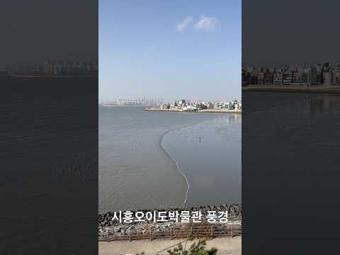 시흥오이도박물관 아름다운 풍경 기안84 나혼자산다 경기도 <strong>시흥시</strong> 유신쇼