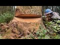 How to make a traditional humboldt undercut in a tree bigger than a bar full