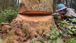 How to make a Traditional Humboldt Undercut in a tree bigger than a bar full.