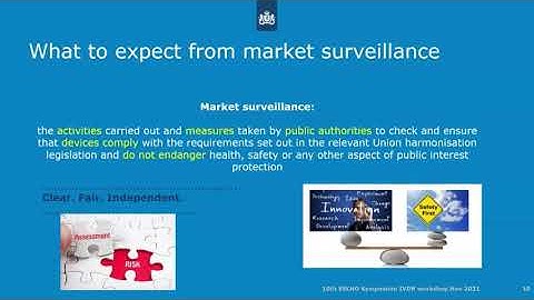 ESLHO IVDR Workshop 2021: IVDR – the perspective of the Dutch competent authority (S. Schoenmakers)