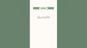 سورة الكافرون الشيخ فيصل غزاوي #معاني_الكلمات