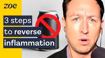 No. 1 gut scientist: why inflammation is the hidden cause of disease | Dr. Will Bulsiewicz