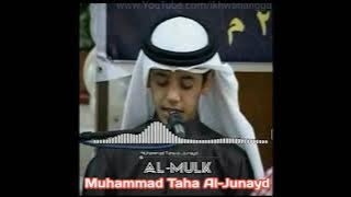 Surat Al-Mulk | Murottal Muhammad Taha Al-Junayd