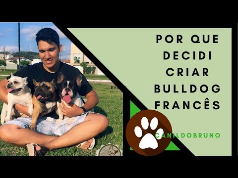 Vídeo: Um Frenchie Com Um Olho Mas Um Todo De Coração