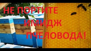:    !