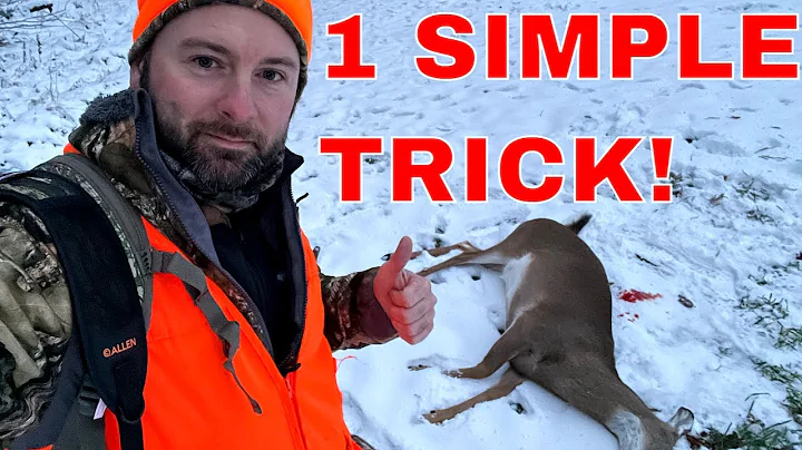 How To Bait Deer For Late Season Deer Hunting 🦌