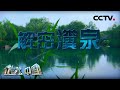 解密瀵泉：神奇泉水 缘何得名为“瀵” 20200804 |《地理·中国》CCTV科教