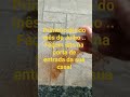 Quer atrair abundância, prosperidade para dentro do seu lar ? #2025 #dicas #simpatias#