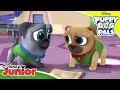 🥪 Bob's Missing Lunch | Puppy Dog Pals | Disney Junior Arabia