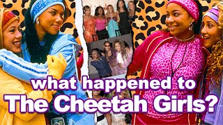 the rise and fall of the cheetah girls 💔🐆🎤