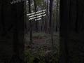 #nature #bowhunting #wildlife #natureasmr #hunting #asmr #gratitude #turkeyhunting #outdoors