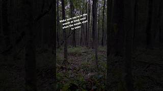 #nature #bowhunting #wildlife #natureasmr #hunting #asmr #gratitude #turkeyhunting #outdoors