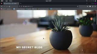 Basic Pentesting 1: Walk-through